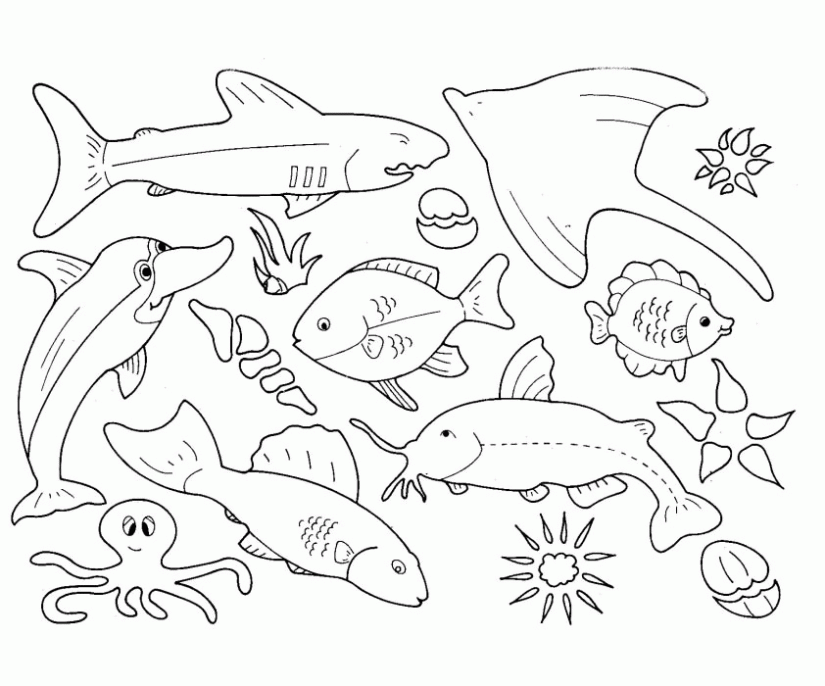 Marine Life Coloring Pages 5